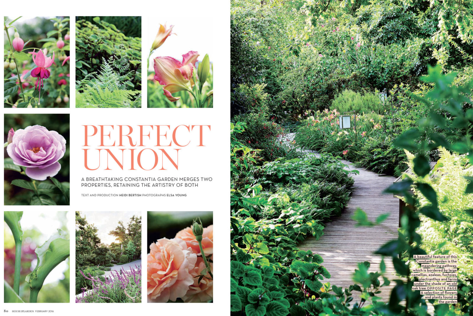 House & Garden February 2016 1